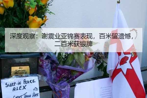 深度观察：谢震业亚锦赛表现，百米留遗憾，二百米获银牌